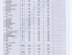 Harga Bahan Pokok Pasar Gelugur Rantauprapat Tanggal 4, 5, 6 Agustus 2026 : Harga Telur dan Cabai Turun