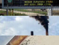 Masyarakat Keluhkan Cerobong Asap PKS PTPN IV Regional II Kebun Ajamu