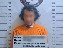 Polisi Tangkap Pria Diduga Pengedar Sabu 8,42 Gram di Bilah Barat