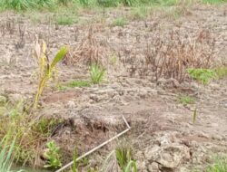 Satu Kilometer dari Mapolsek Panai Tengah, Warga Laporkan Dugaan Transaksi Sabu