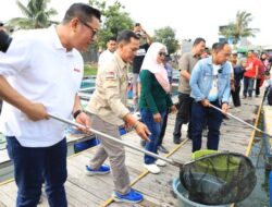 Kampung Wisata Keramba 22 Gebang Raya Panen 200 Kg Ikan Patin