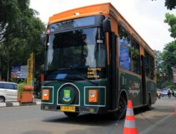 Cuma Rp81! Pemkot Tangerang Buka Promo BRT Tayo & Angkot Si Benteng Sambut HUT 81 RI