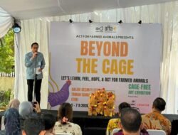 Ayam Bebas Sangkar Jadi Pilihan, Kementan Dorong Transisi Bertahap