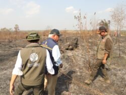 Pemerintah Klaim Soal Karhutla, 700 Ha Ditangani 300 Ha Dalam Proses