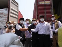 Beras Impor Ilegal dari India Berisiko Bawa OPTK, Barantin Perketat Karantina