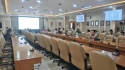 Harga Jagung Pakan Naik, Pemerintah Perkuat Pemantauan Stok dan Distribusi