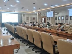 Harga Jagung Pakan Naik, Pemerintah Perkuat Pemantauan Stok dan Distribusi