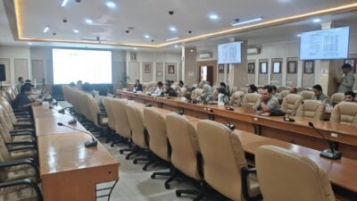 Harga Jagung Pakan Naik, Pemerintah Perkuat Pemantauan Stok dan Distribusi