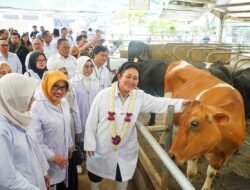 Kunker Ke KUTT Suka Makmur Pasuruan, Komisi IV DPR & Barantin Soroti Biosekuriti Sapi Perah