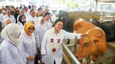 Kunker Ke KUTT Suka Makmur Pasuruan, Komisi IV DPR & Barantin Soroti Biosekuriti Sapi Perah