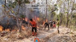 BNPB Catat 62 Hektar Lahan Terbakar di 4 Provinsi, Terluas 30 Hektar di Karangasem Bali