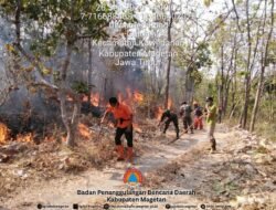 BNPB Catat 62 Hektar Lahan Terbakar di 4 Provinsi, Terluas 30 Hektar di Karangasem Bali
