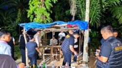 Dua Pria Diamankan Tim Gabungan, Gubuk Kebun Sawit di Tertibkan