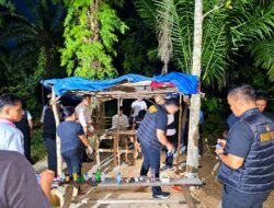 Dua Pria Diamankan Tim Gabungan, Gubuk Kebun Sawit di Tertibkan