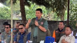 Kepala BNPB Tinjau Ngada: Pastikan Pemulihan Gempa M7,7 Berlanjut
